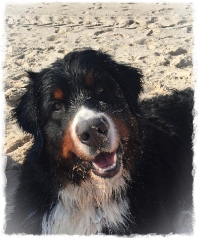 Feriengast Lotte