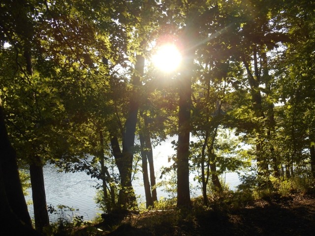 Abendspaziergang um den Osterteich