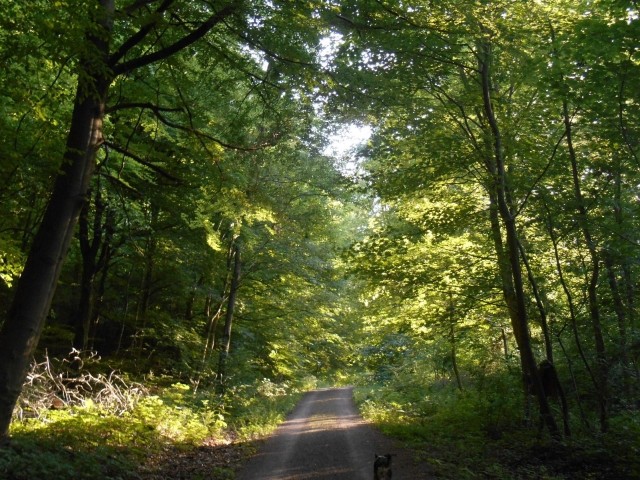 Spazierweg zum heiligen Teich