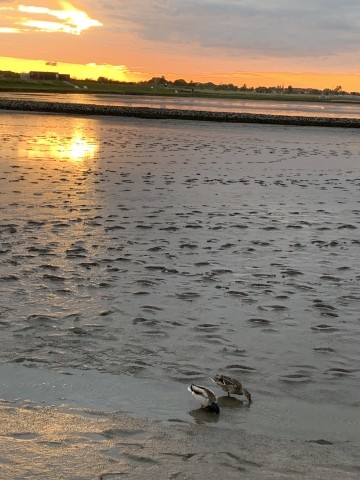 Abendstimmung