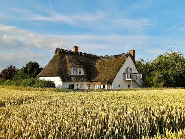 Blick vom Feld auf die Ferienwohnung