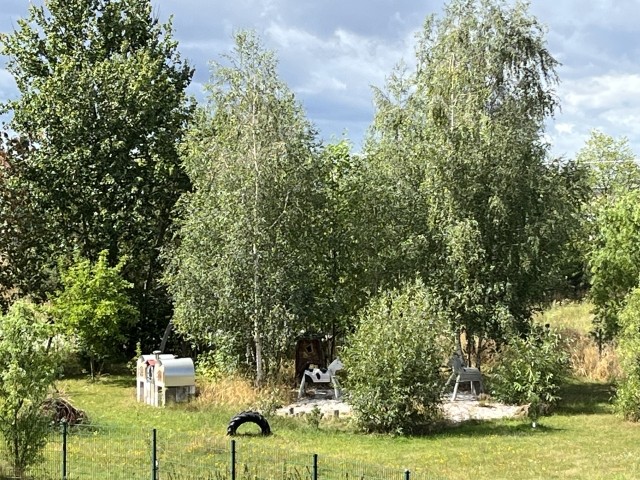 große, umzäunte Wiese mit Spielplatz und Backöfen