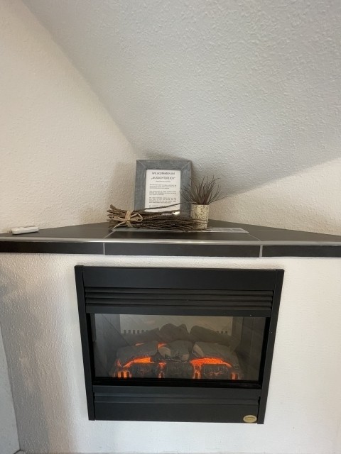 Elektrokamin
