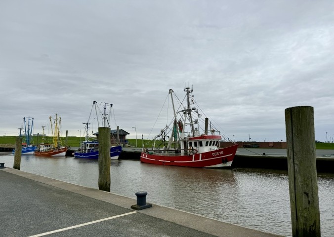 Kutterhafen