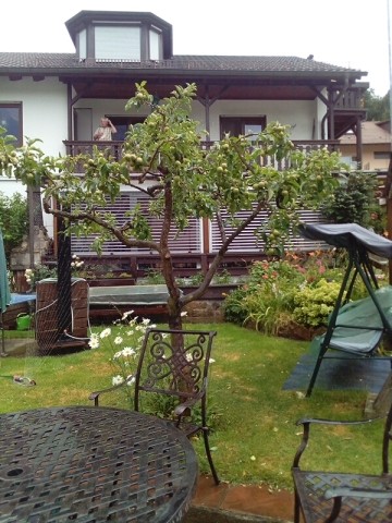 Gartenseite