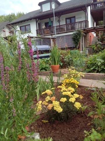 Gartenseite