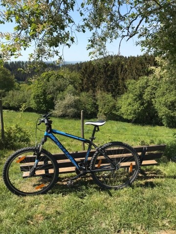 Radwege
