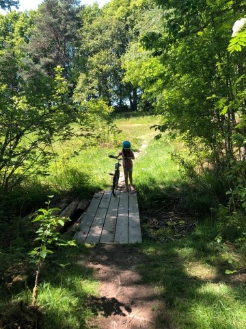 Im Osburger Hochwald 1