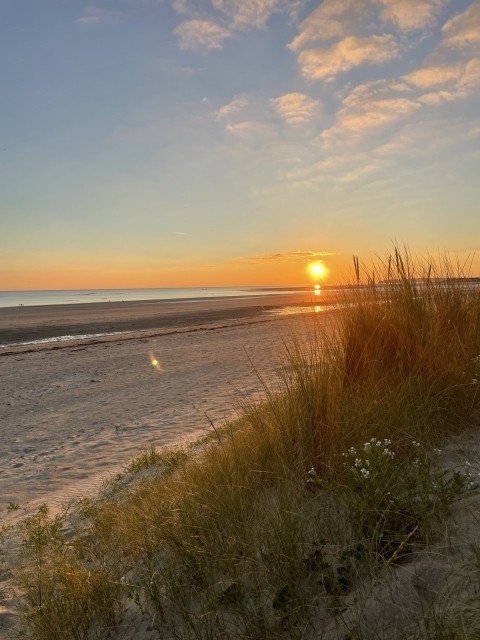 Dünen und Strand