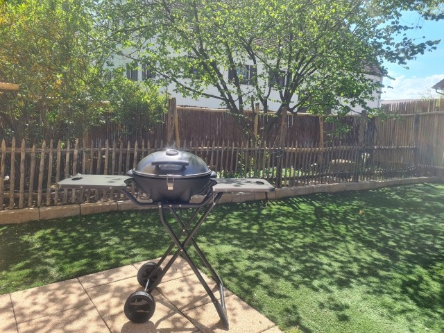 BBQ ist natürlich unverzichtbar an schönen Sommertagen oder auch mal zum Wintergrillen - Elektrogrill