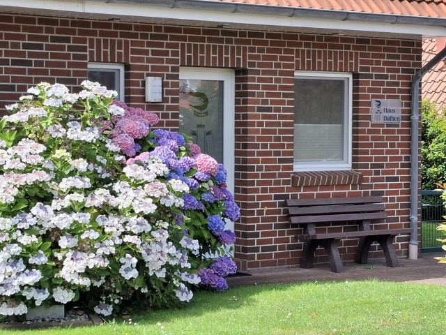 Dalben Greetsiel Eingangsbereich