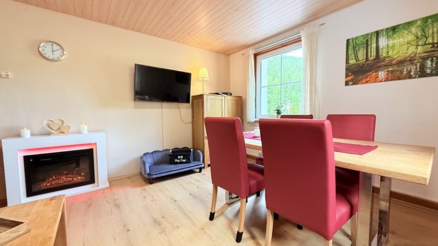 gemütliches Wohn-Esszimmer mit Elektrokamin