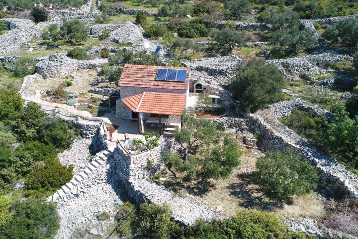 Haus