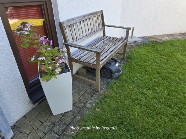 Bank im Schatten