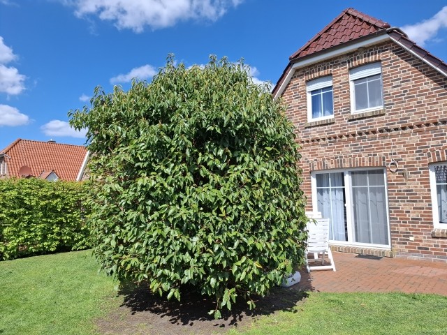 Landhaus Annika Greetsiel