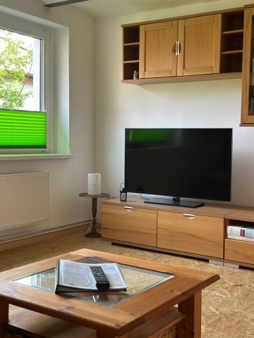 Wohnzimmer (6)