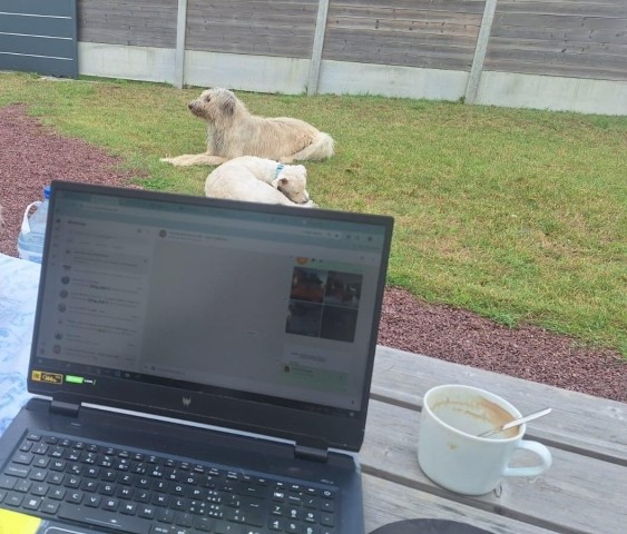 WLAN vorhanden, die Hunde sicher dabei