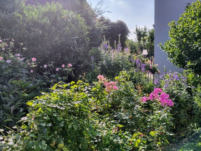 Blumenpracht