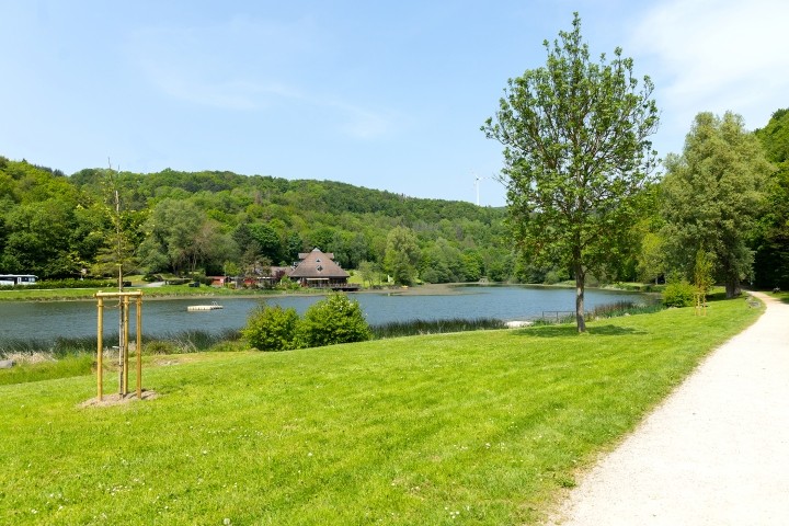schöner Pfad um den Waldsee
