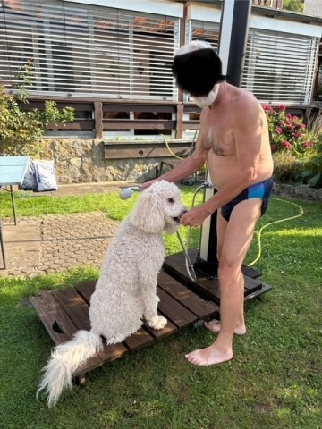 Auch Hunde fühlen sich wohl