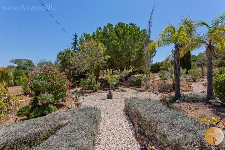 Großer Garten mit Wanderwegen und subtropischer Bepflanzung