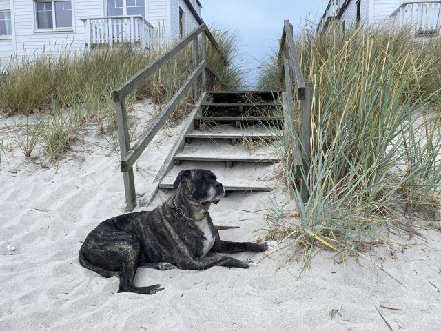 alle genießen Ihren Urlaub in vollen Zügen alle genießen Ihren Urlaub in vollen Zügen