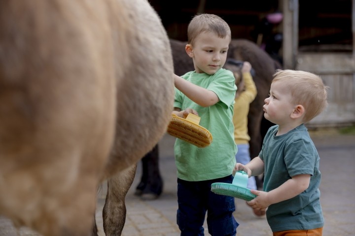Nach dem Ausflug: Pony Striegeln
