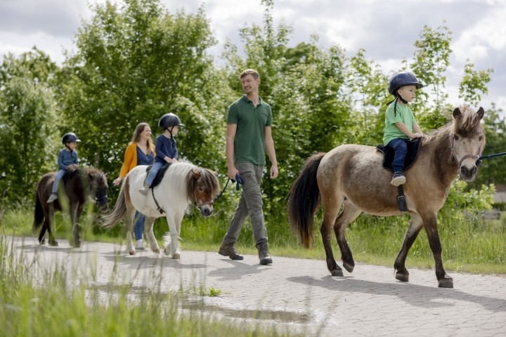 Ponyausritt jederzeit möglich