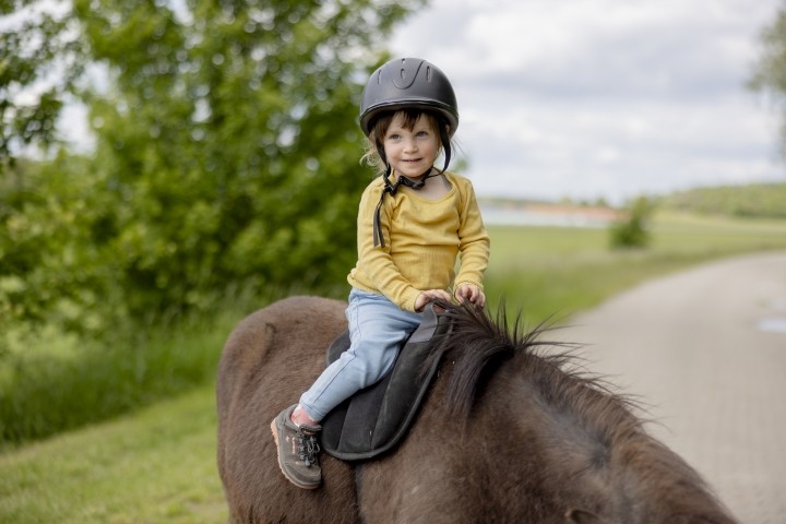 Pony