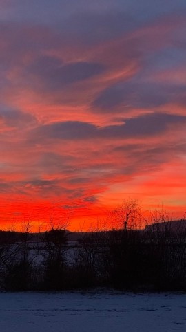 Sonnenuntergang  am Grundstück
