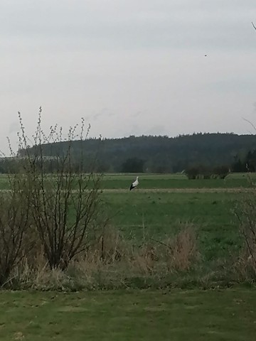 am Grundstück angrenzendes Wasserschutzgebiet