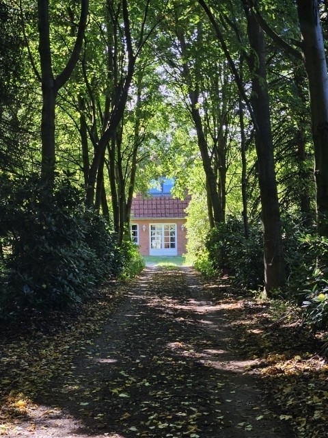 Auffahrt