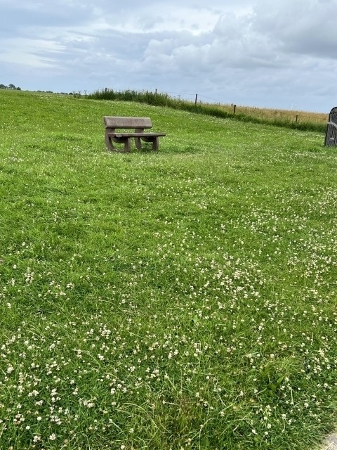 Am Hundewanderweg 