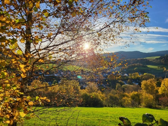 Herbstspaziergang auf der Hausrunde 
