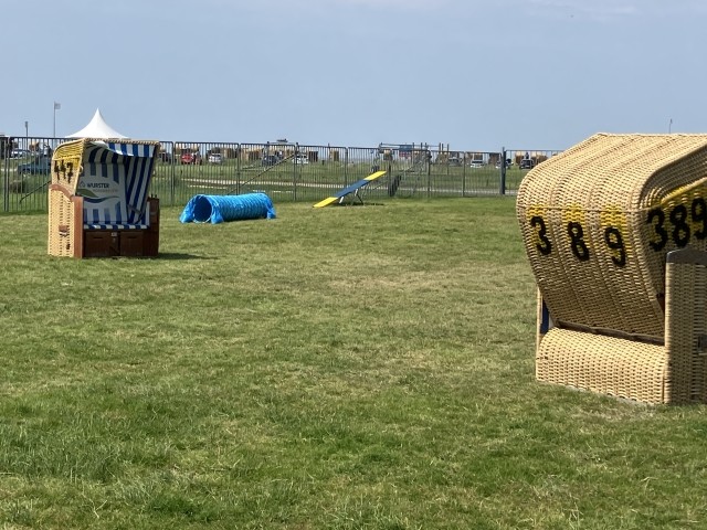Hundespielplatz