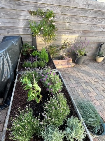 Gartenkräuter dürfen genutzt werden