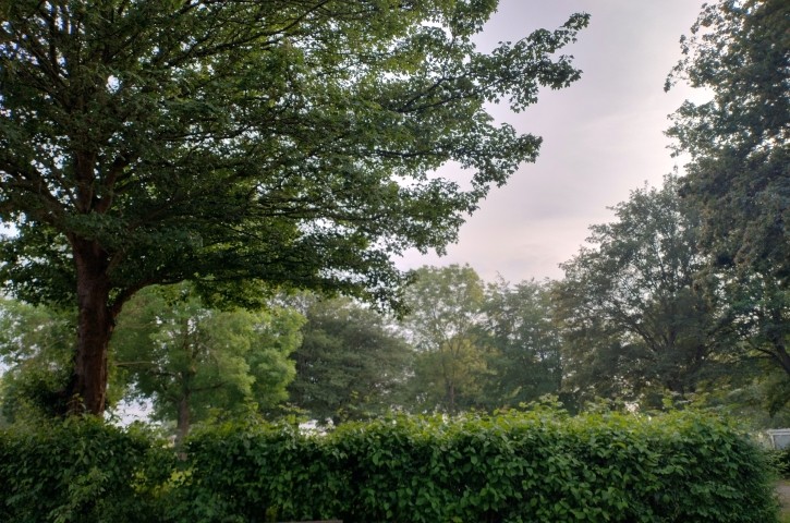 Gartenblick