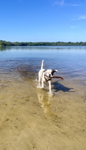 See für Mensch und Hund 