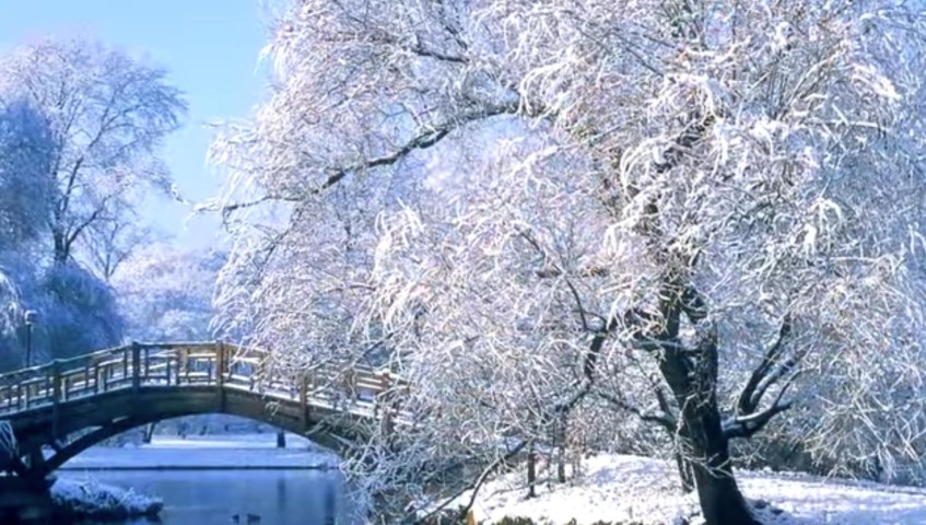 Winterimpressionen