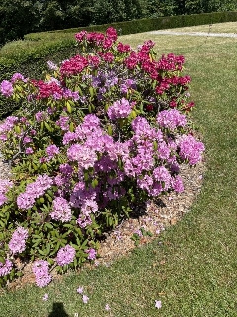 Natur pur