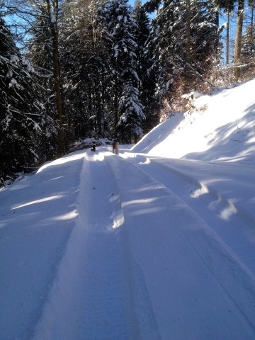 Zauberhafte Winterwanderwege