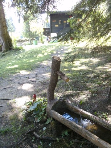 Eingang ins Grundstück Eingang ins Grundstück