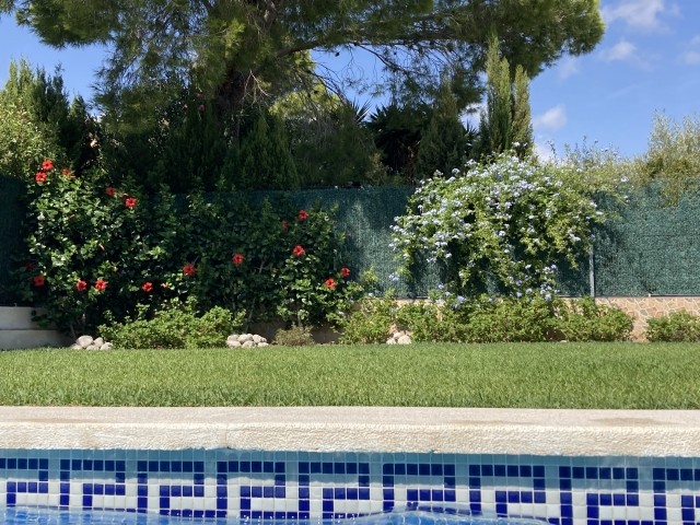 Garten vom Pool aus gesehen