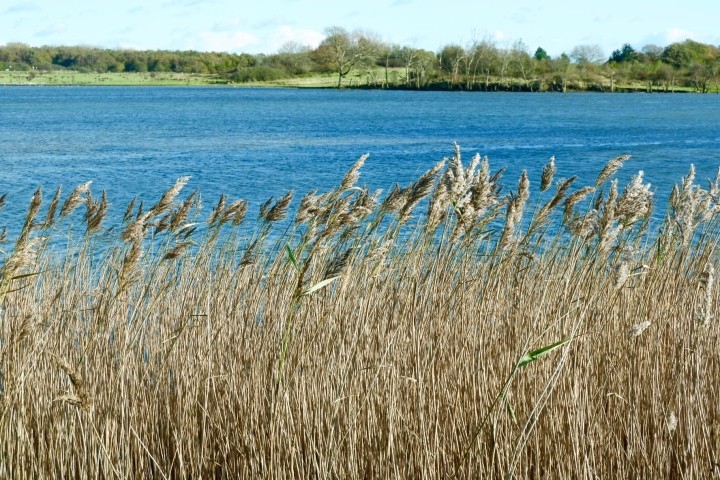 Wanderwege auf der Halbinsel Holnis Wanderwege auf der Halbinsel Holnis
