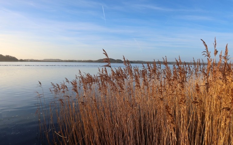 Herbststimmung an der Schlei