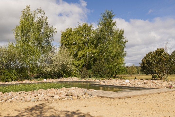 Schwimmteich Schwimmteich