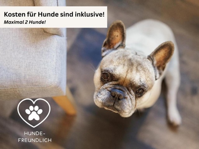 Hunde sind erlaubt Hunde sind erlaubt