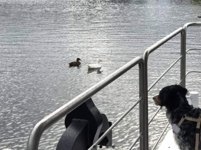 inklusive Enten-Kino :-)