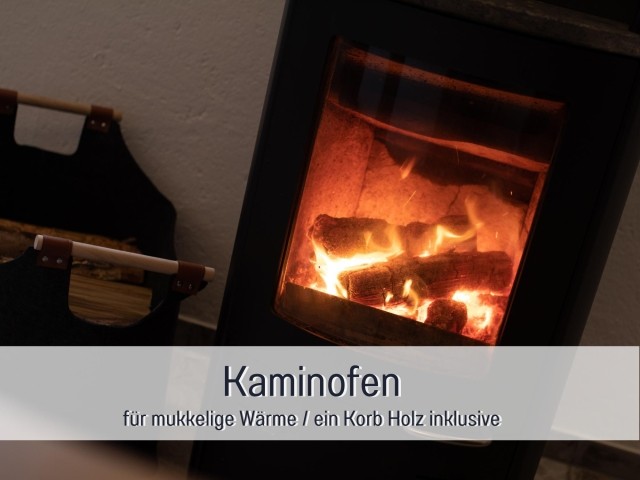 Kaminofen EG