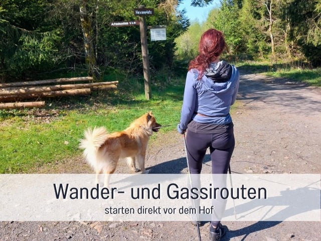 Hunderunde